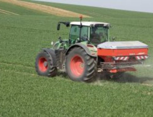 Pflanzenkohle bringt „negative Emissionen“